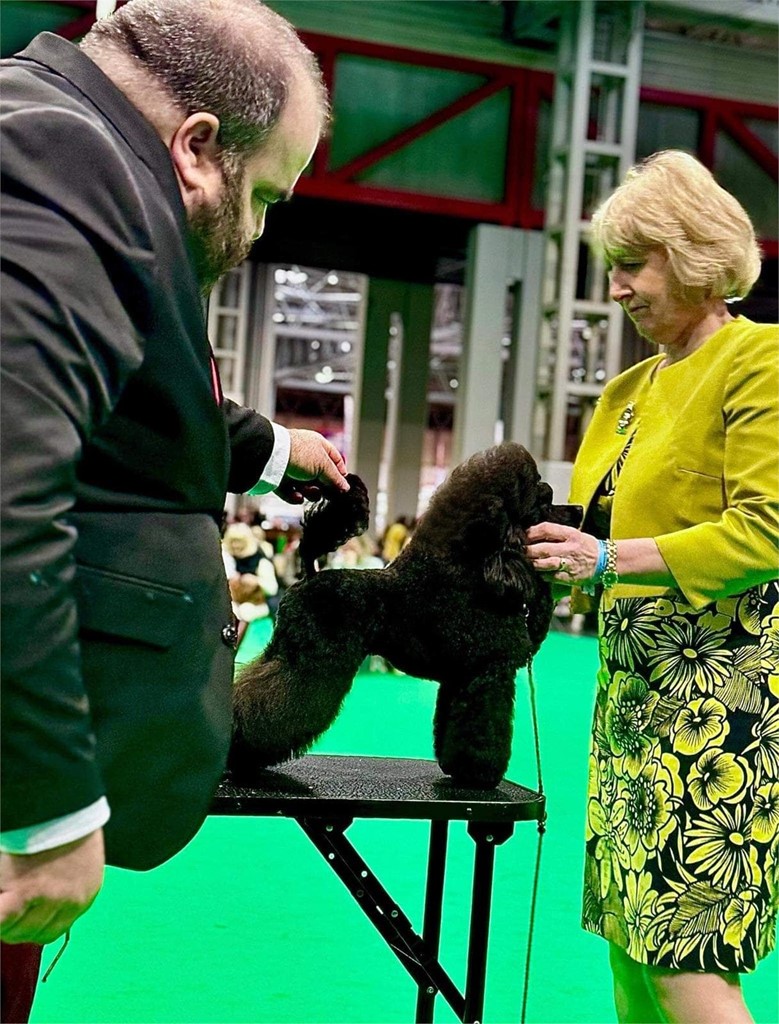 Crufts 2024